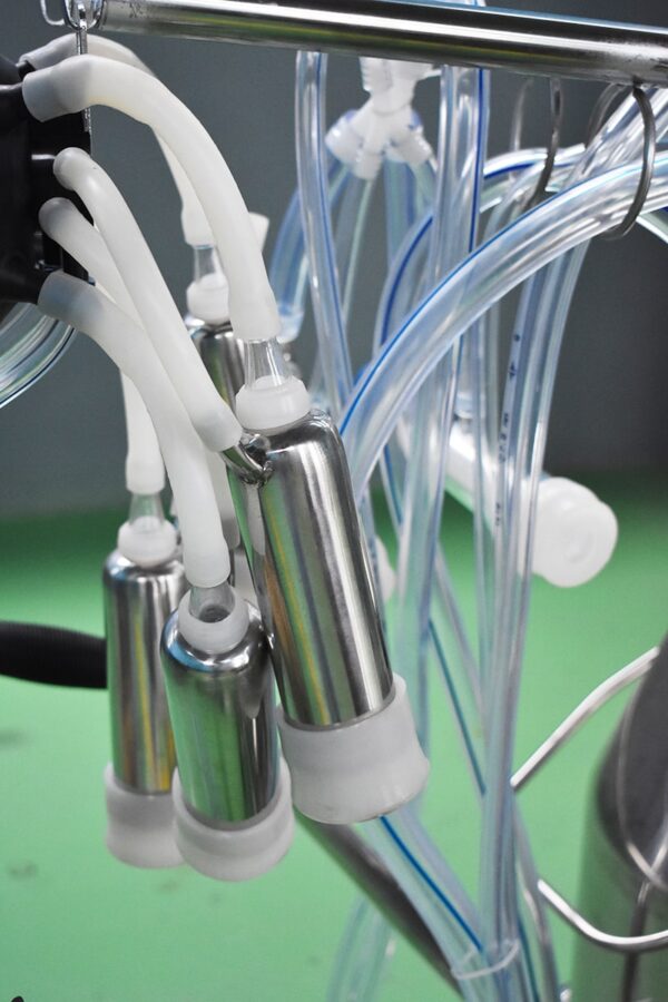 milk cluster unit and milk tube detail of cow farm vacuum pump milking machine