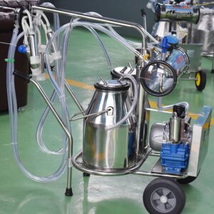 manual cow milking machine with double buckets