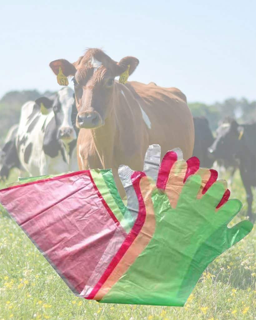 veterinary disposable long gloves cow artificial insemination long gloves with best quality wholesale price