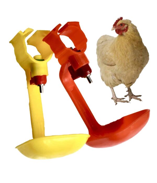 chicken water feeder cup drinker poultry chicken farm with Long service life