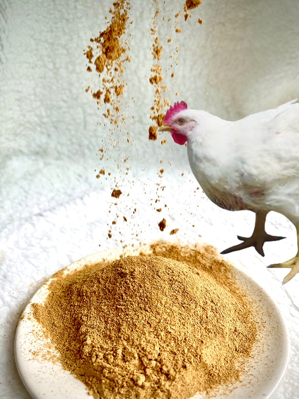 yeast culture Animal Feed additive