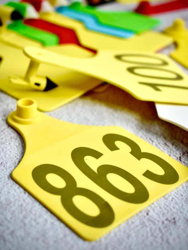 cow farm ear tag
