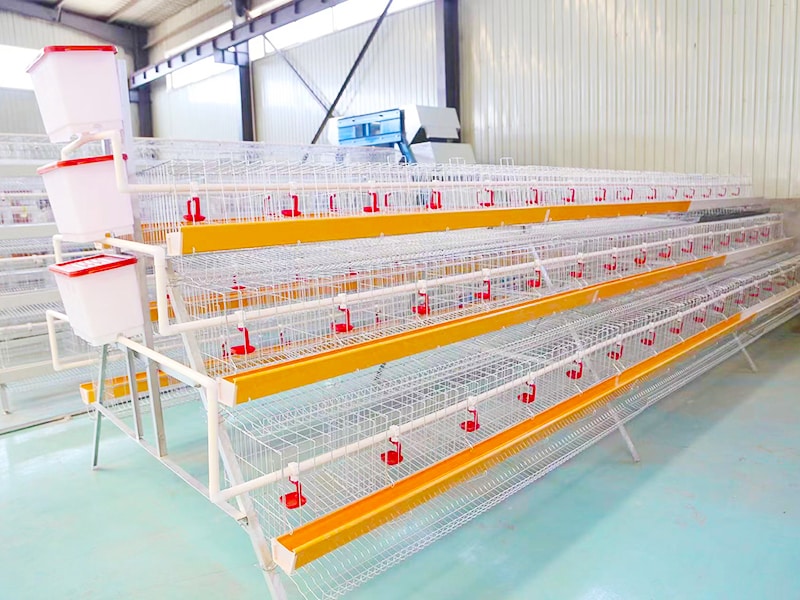 artizen company battery cage battery hens