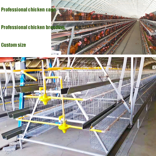 broiler and layer cage