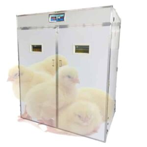 chicken incubation equipment poultry hatcher