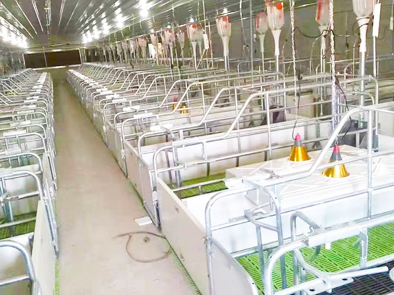Wholesale Cheap Swine Farm Fattening Pig Cage Equipment