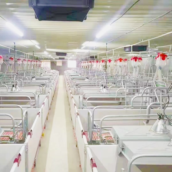 farrowing crate and lactating in piggery farrowing crate manufacturers