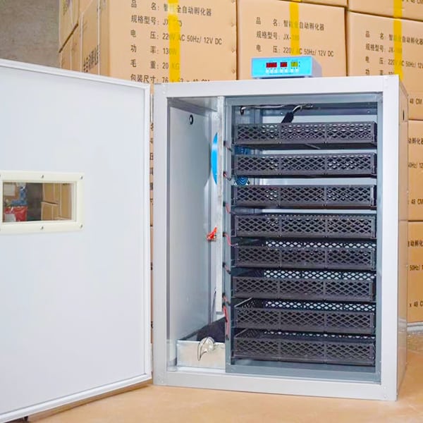 chick incubation for small poultry farm