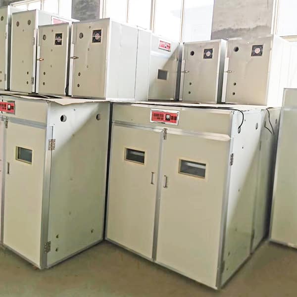 china supply different types poultry incubation