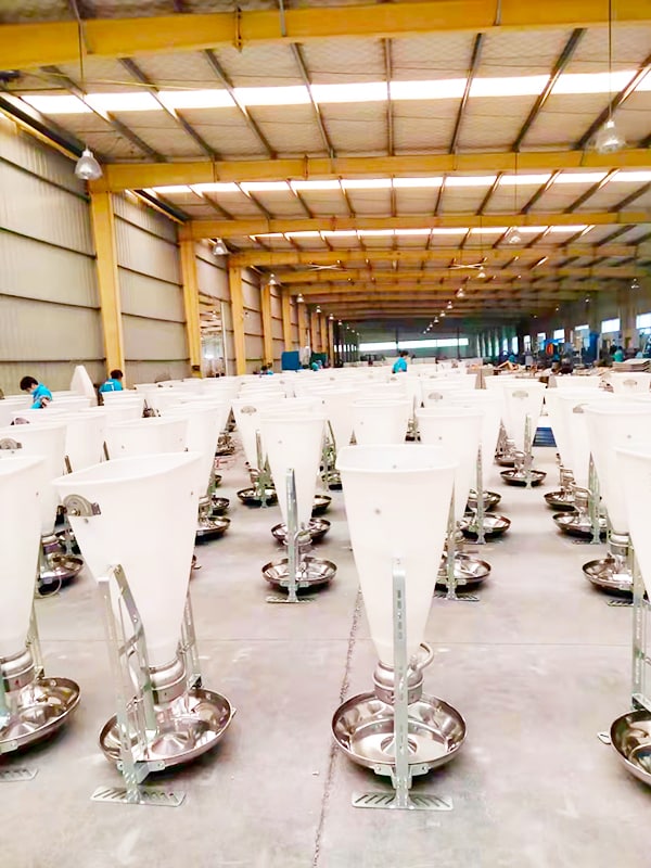 factory wholesale piglets sow farm feeder