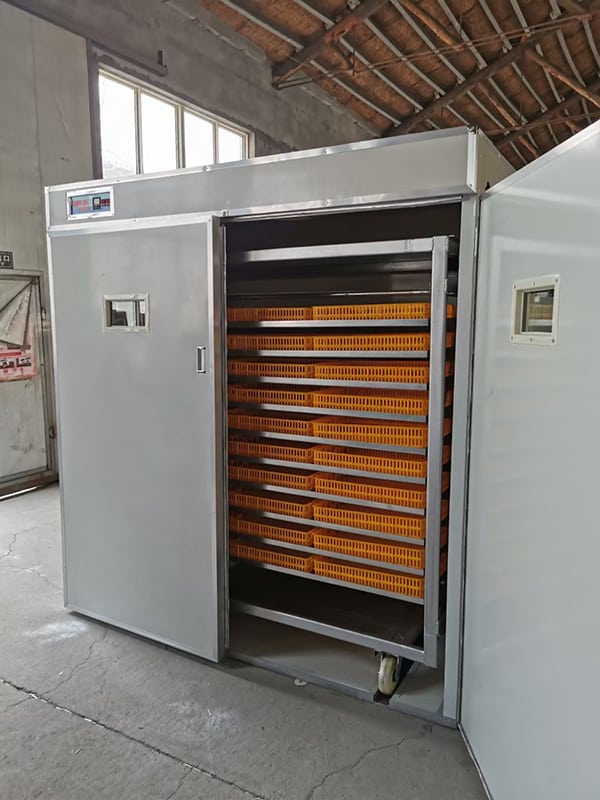 good quality incubation for poultry birds farm