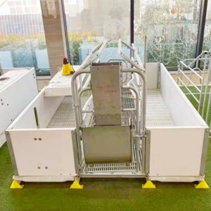 Pig Farm Farrowing Crates Pig Obstetric Table