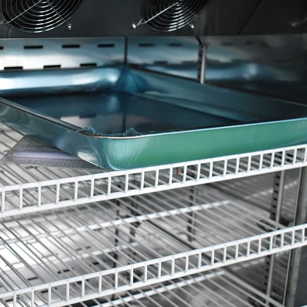 Small ranch yogurt maker detail