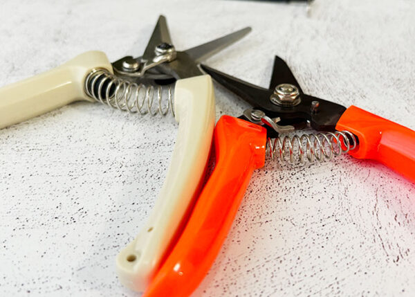 Best quality and wholesale goat and sheep hoof trimmers with red white colour and two sizes